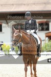 ref. photo 3231682