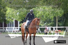 ref. photo 3231694