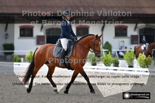 ref. photo 3231702
