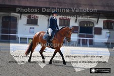 ref. photo 3231718
