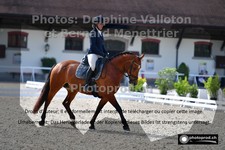 ref. photo 3231719