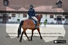 ref. photo 3231731
