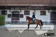 ref. photo 3231732