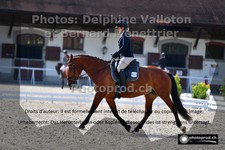 ref. photo 3231738