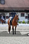 ref. photo 3231742