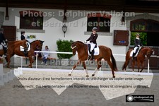 ref. photo 3231758