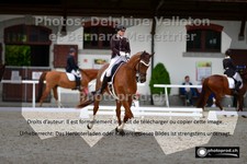 ref. photo 3231760