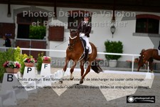 ref. photo 3231782