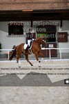 ref. photo 3231789
