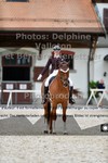 ref. photo 3231793