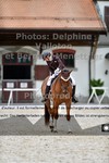 ref. photo 3231794