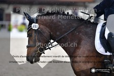 ref. photo 3231838