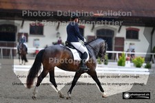 ref. photo 3231843