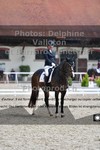 ref. photo 3231865