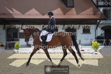 ref. photo 3786132