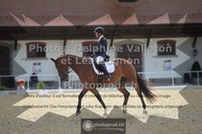 ref. photo 3786133