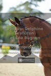ref. photo 3786136