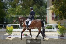 ref. photo 3786137