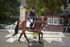 ref. photo 3786152