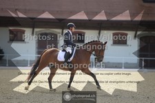 ref. photo 3786154