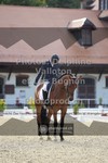 ref. photo 3786155
