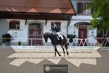ref. photo 3786166