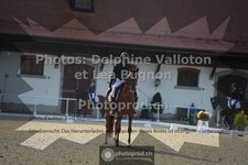 ref. photo 3786410