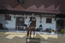 ref. photo 3786411