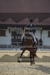 ref. photo 3786414