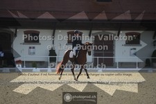 ref. photo 3786418