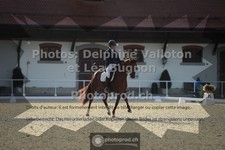 ref. photo 3786419
