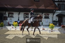 ref. photo 3786422