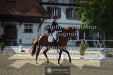 ref. photo 3786423