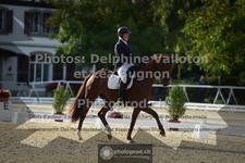 ref. photo 3786424