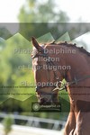 ref. photo 3786435