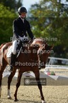 ref. photo 3786445