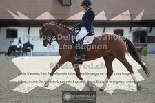 ref. photo 3786450