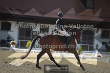 ref. photo 3786704