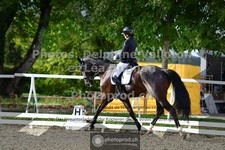 ref. photo 3786813