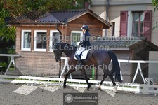 ref. photo 3786818