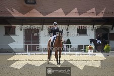 ref. photo 3786839