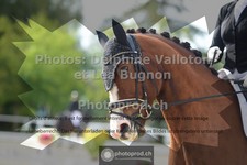 ref. photo 3786842