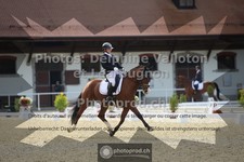 ref. photo 3786851