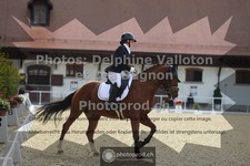 ref. photo 3786856
