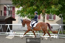 ref. photo 3786927