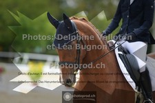 ref. photo 3786944