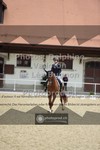 ref. photo 3786951