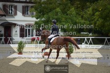 ref. photo 3786960