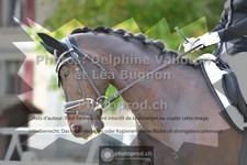 ref. photo 3786977