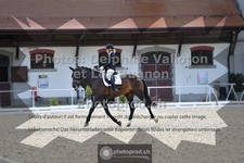 ref. photo 3786983